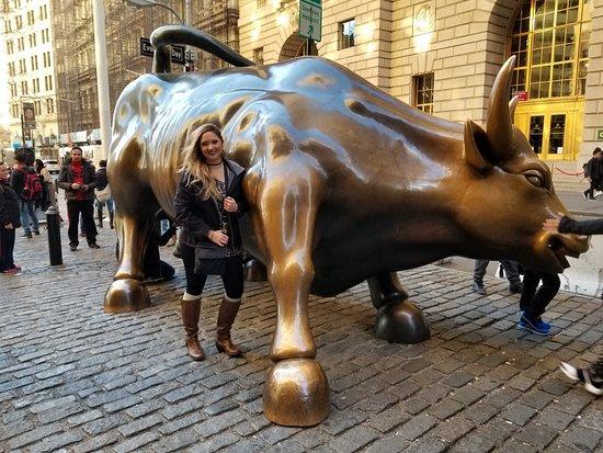Charging Bull
